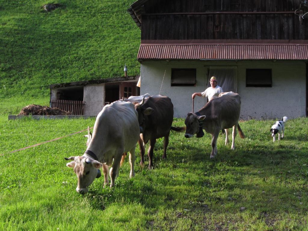 Ferienstudio In Unterschaechen Szoba fotó